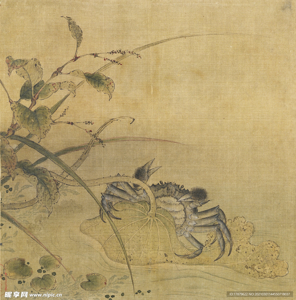 宋代国画 佚名 荷蟹图