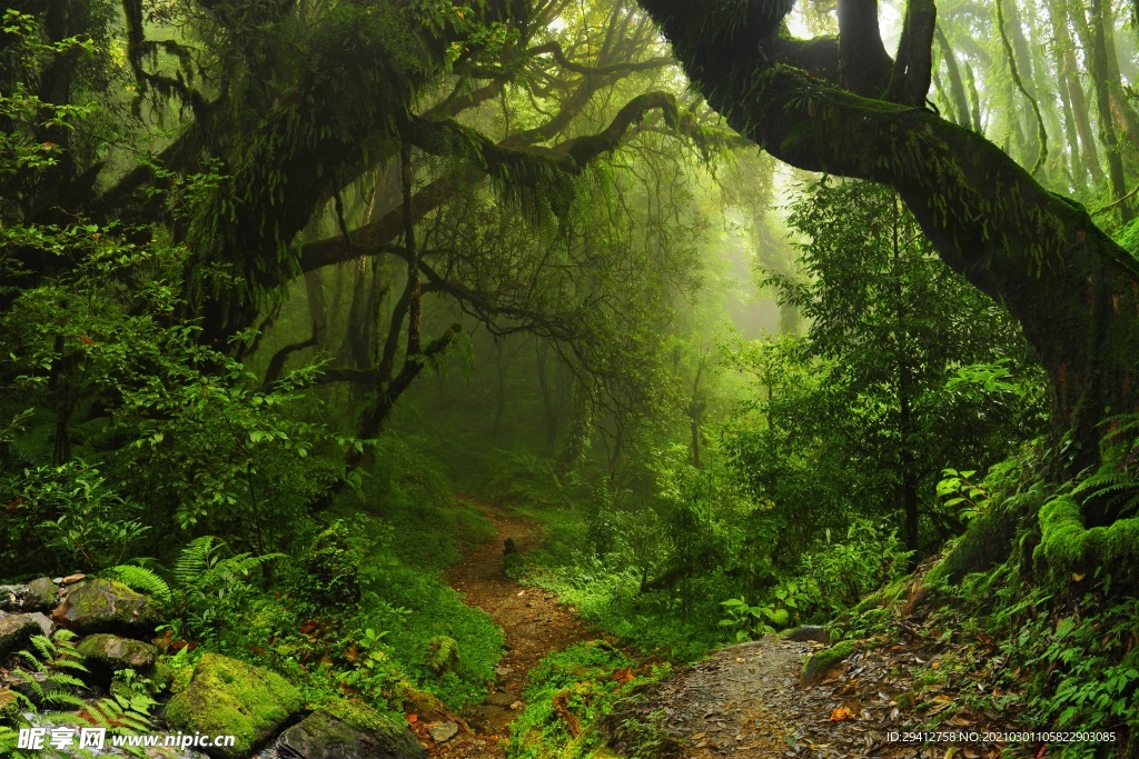 夢幻風景