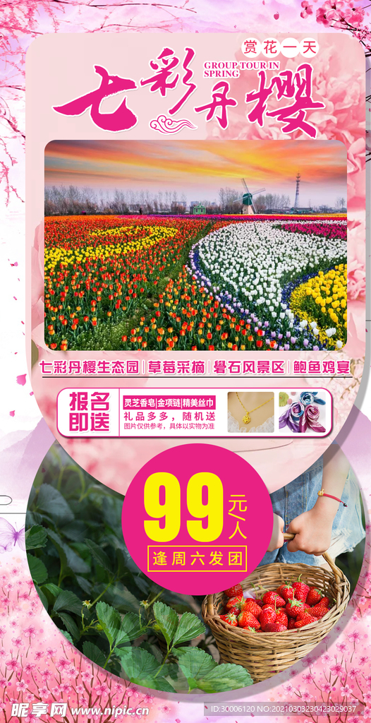 春天樱花桃花粉色系旅游海报