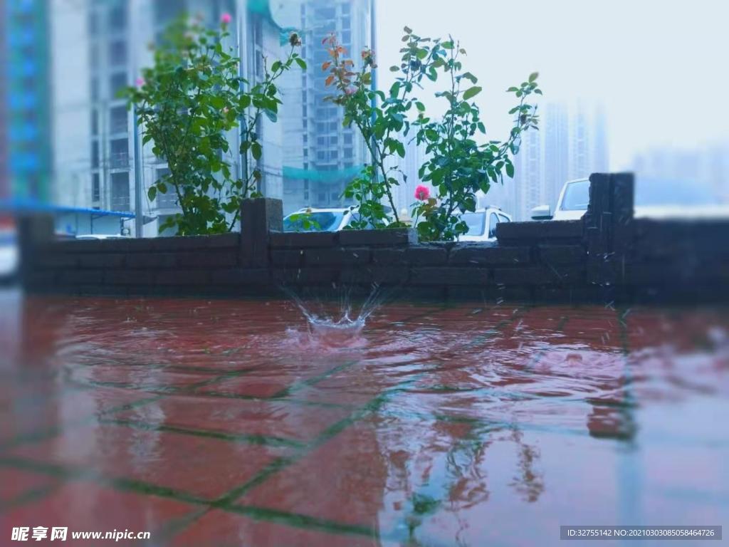 雨