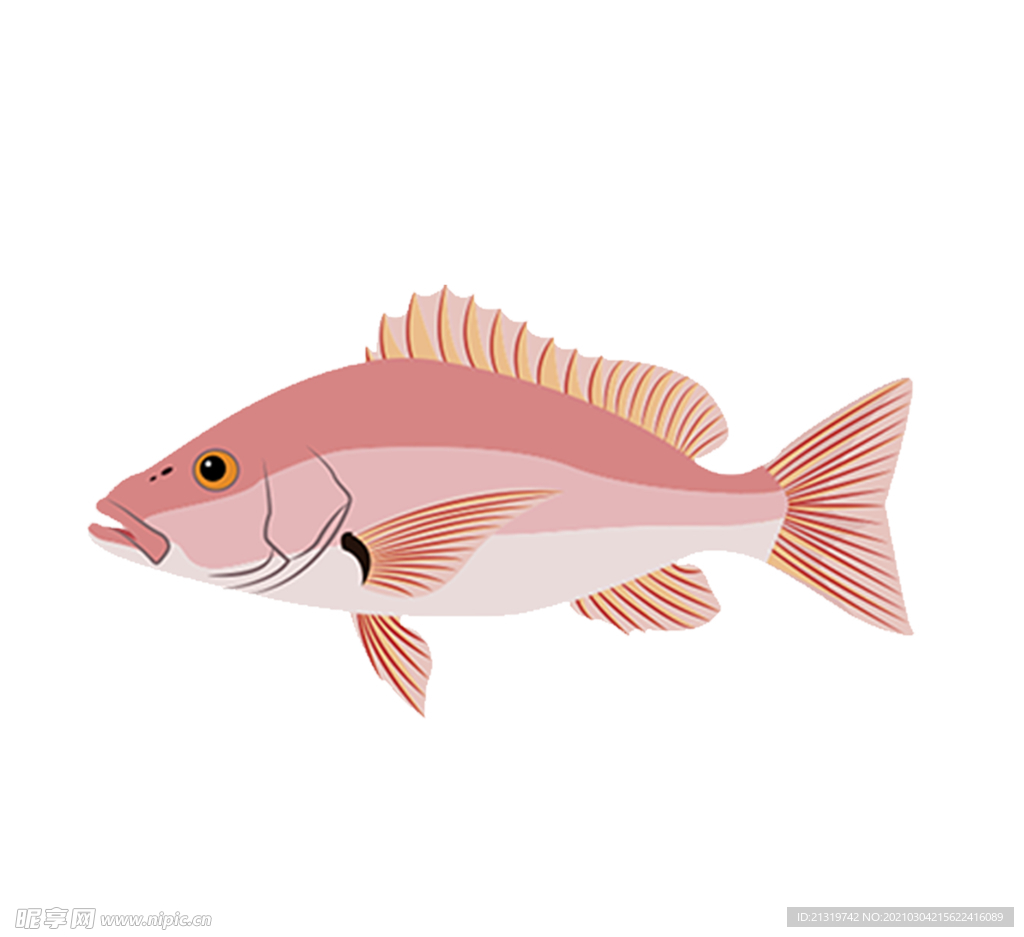 灰粉色的小鱼插画