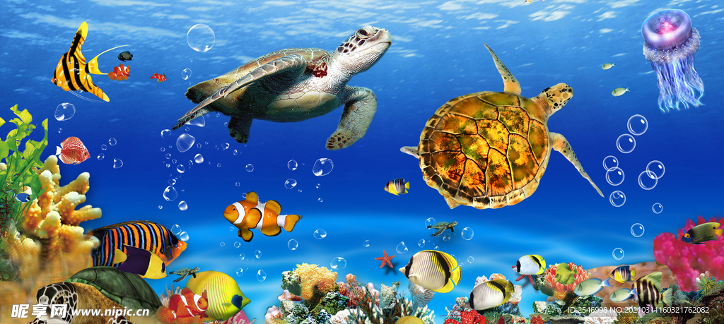 海龟水母