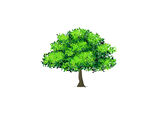 树木CG插画