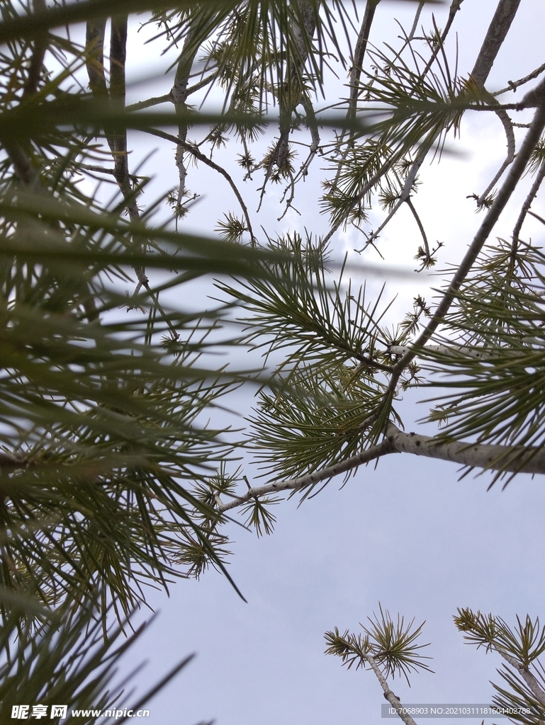 天空