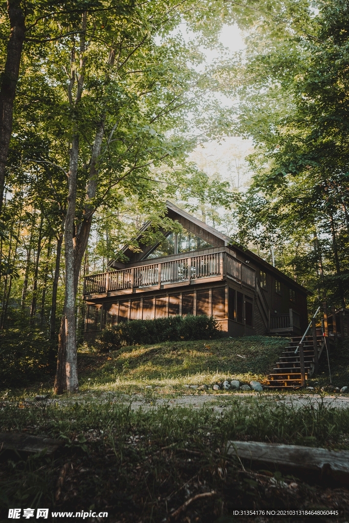 溫馨樹林小屋