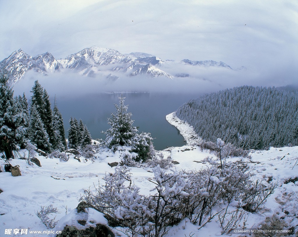 叢林雪景