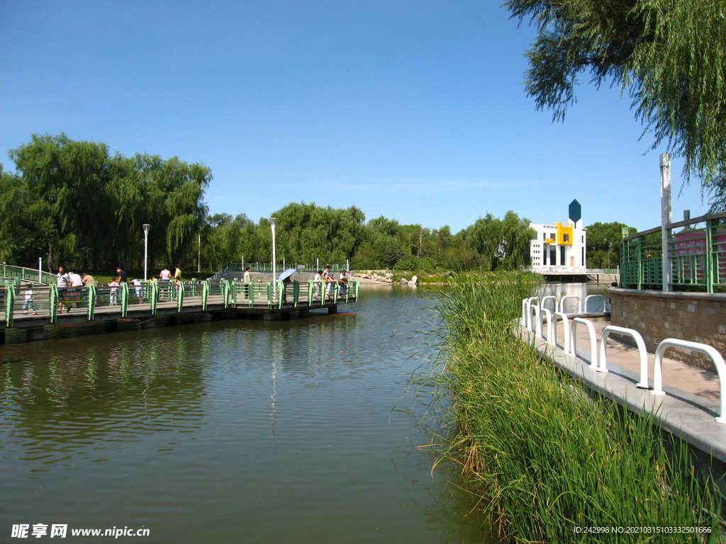 公園風景