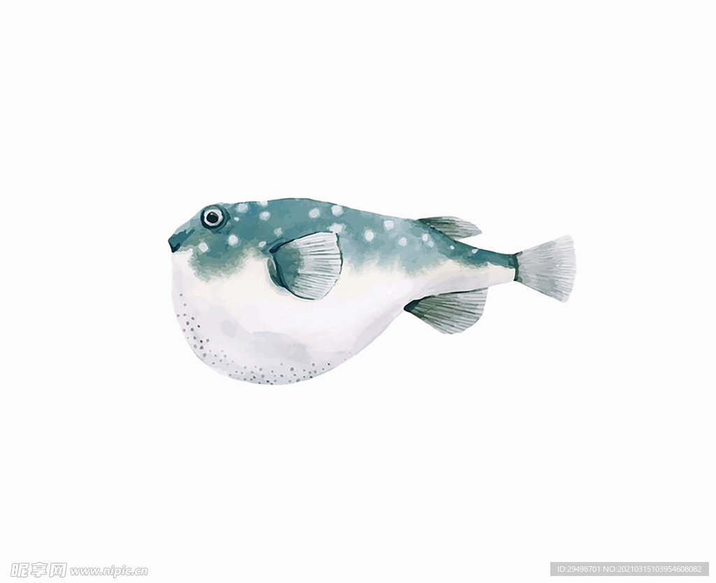 魚