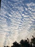 綿羊天空