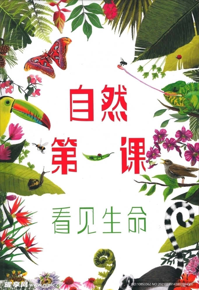 自然第一課  繪本