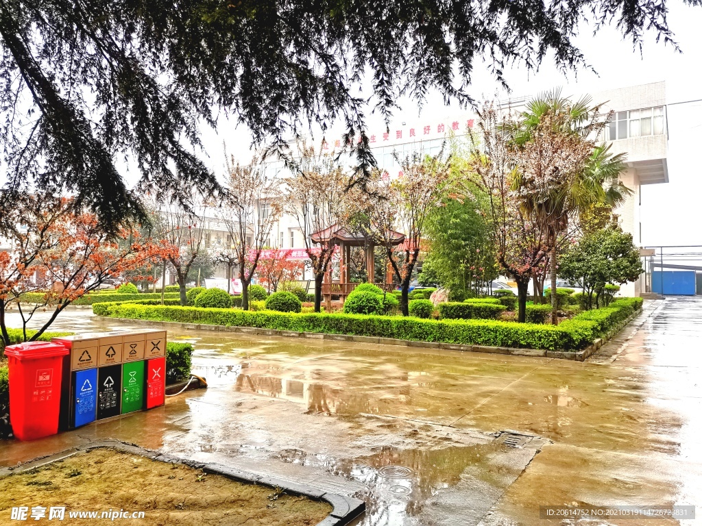 雨天的校园风景