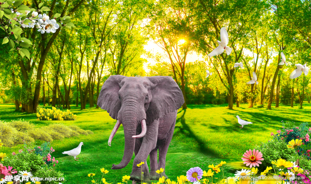 阳光树林大象