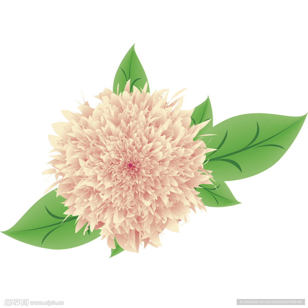 花