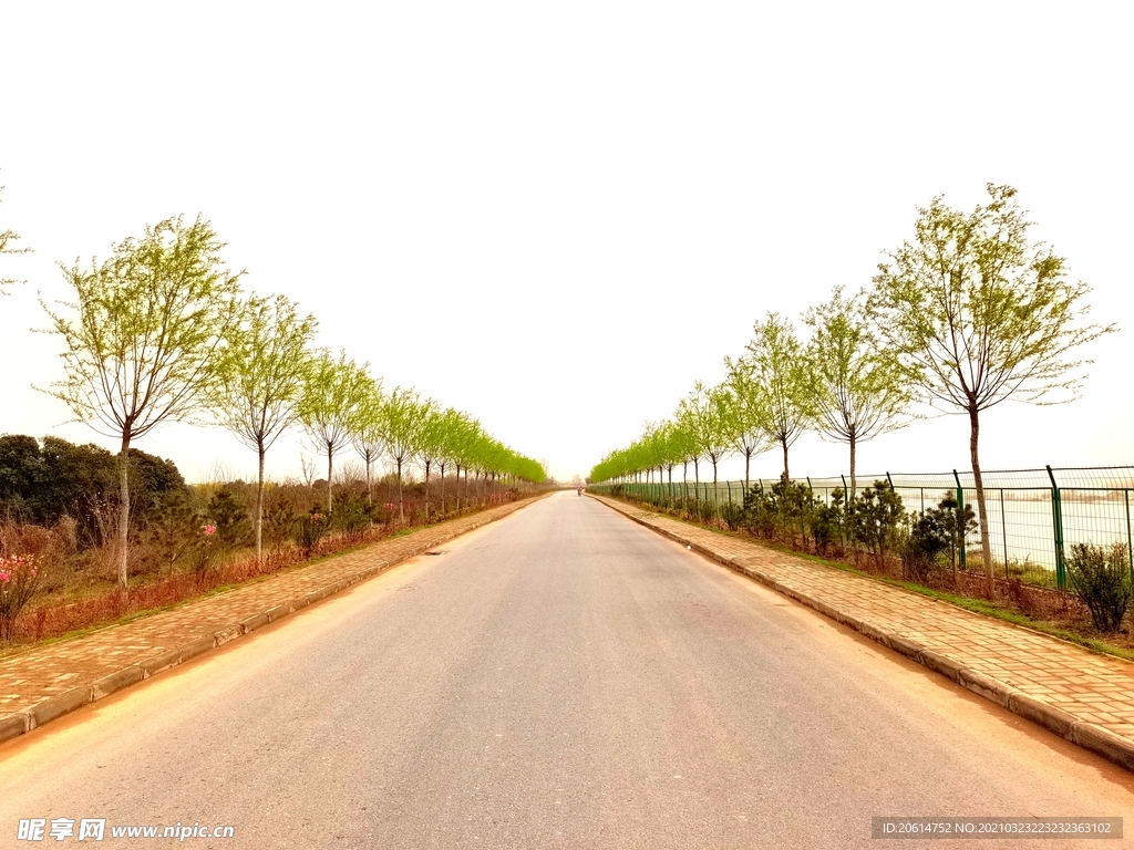 美麗的鄉村道路風景