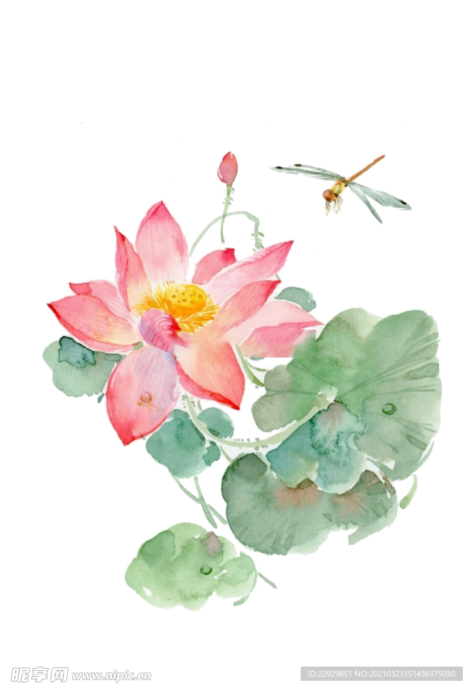 水墨荷花