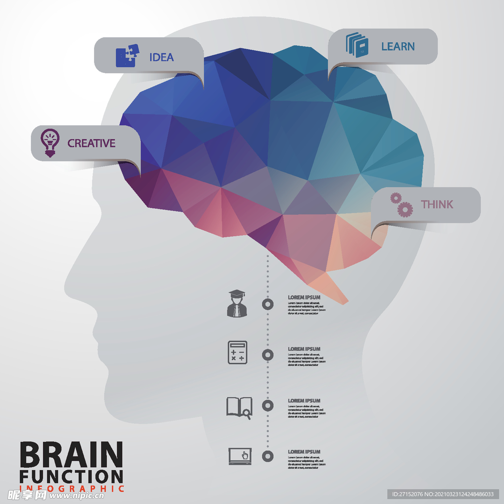 大脑功能信息图