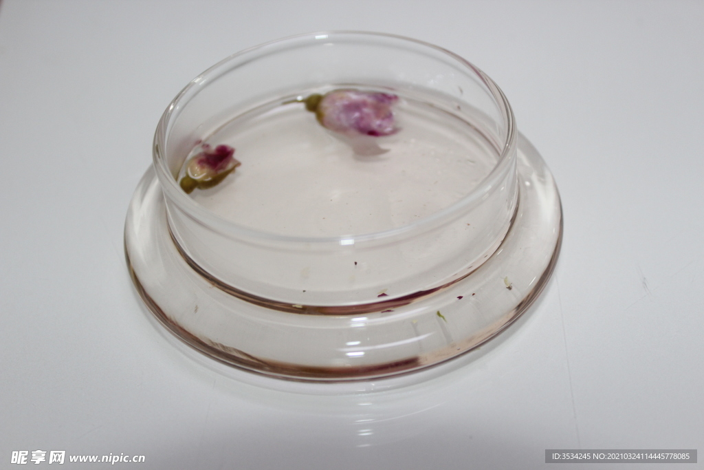 玫瑰花花