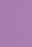 紫色背景 磨砂背景 墙面纹理