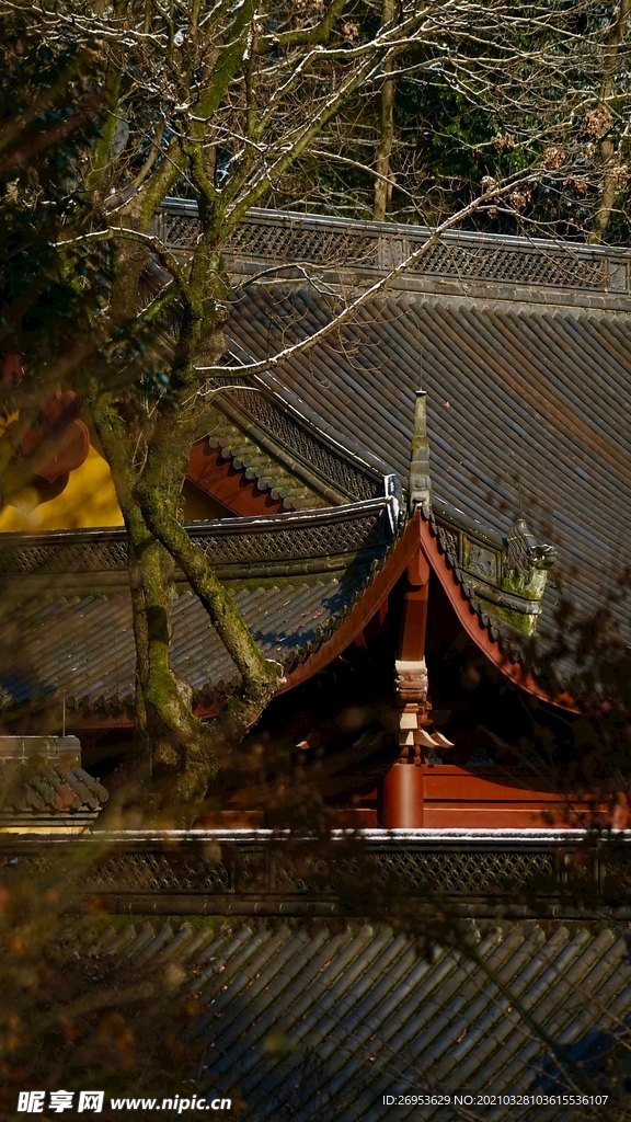 寺