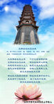 見(jiàn)舍利佛塔如見(jiàn)如來(lái)