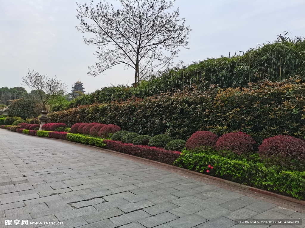 公園綠化帶風(fēng)景