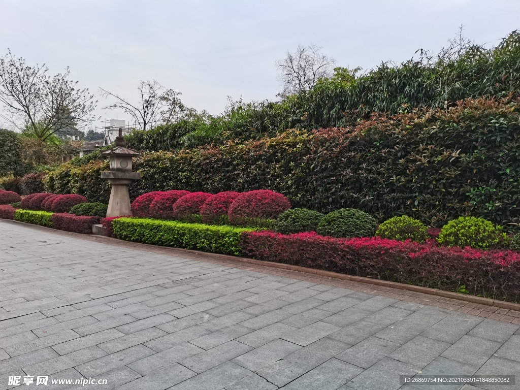 公園綠化帶風景