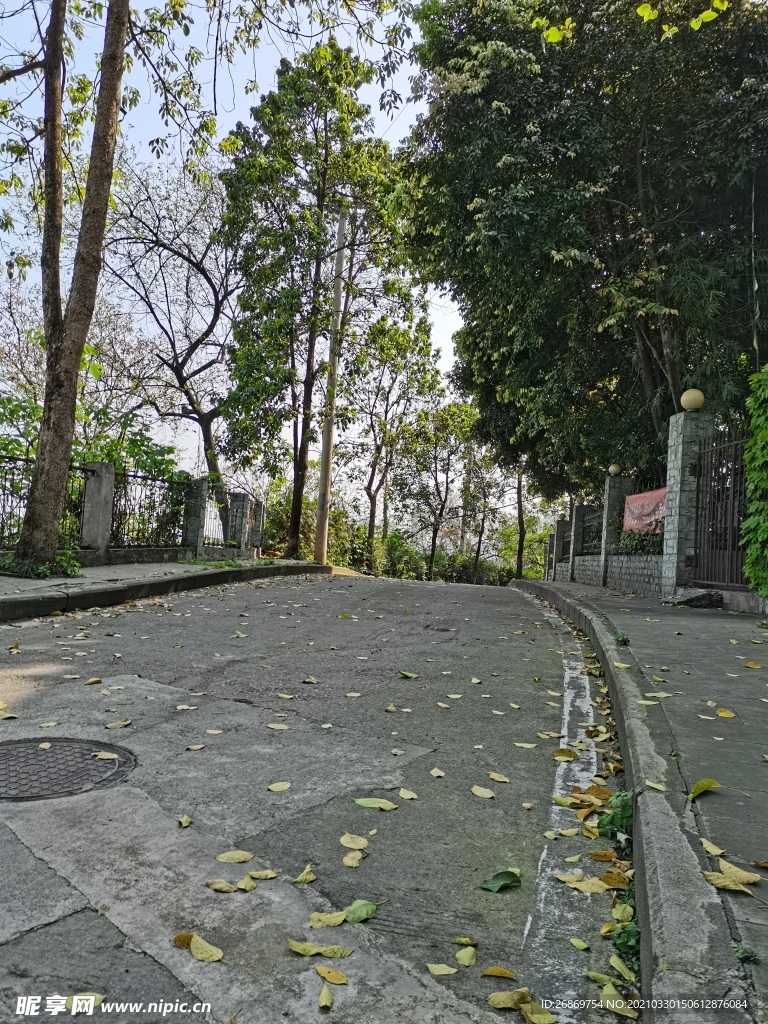 公園街道