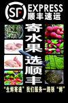 順豐生鮮