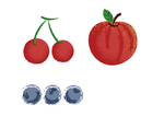 蓝莓樱桃苹果插画
