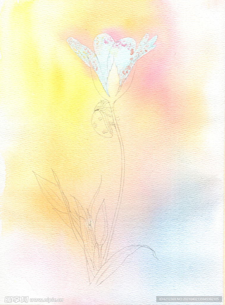 水彩花卉 小白花绘画步骤