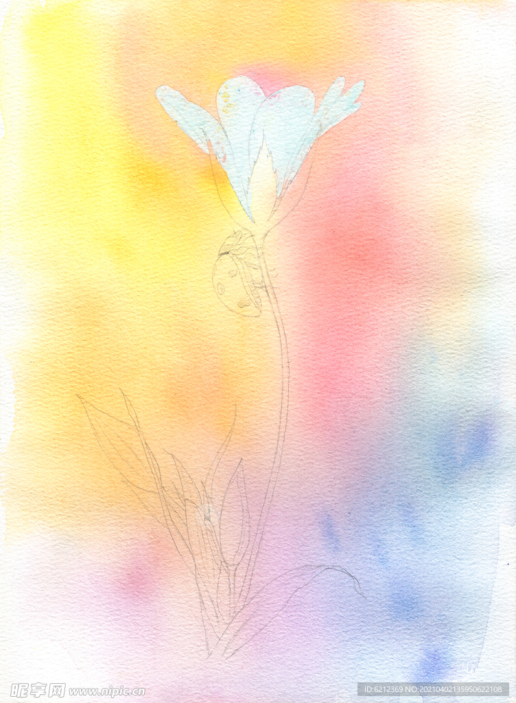 水彩花卉 小白花绘画步骤