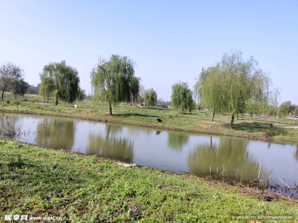 生態(tài)美景
