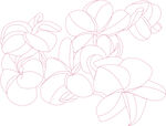 花卉AI线描素材图