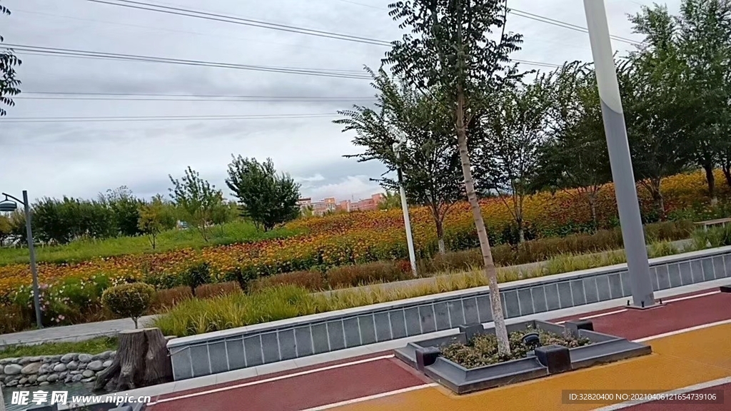 公園風(fēng)景