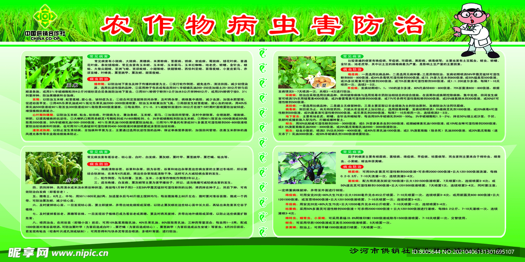病蟲(chóng)害防治
