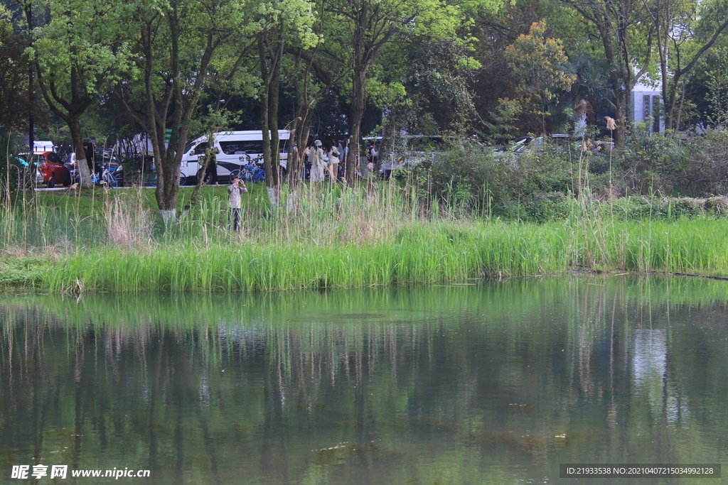 濕地公園自然式生態(tài)駁岸