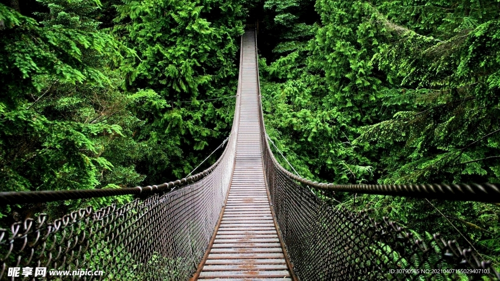 旅游風景