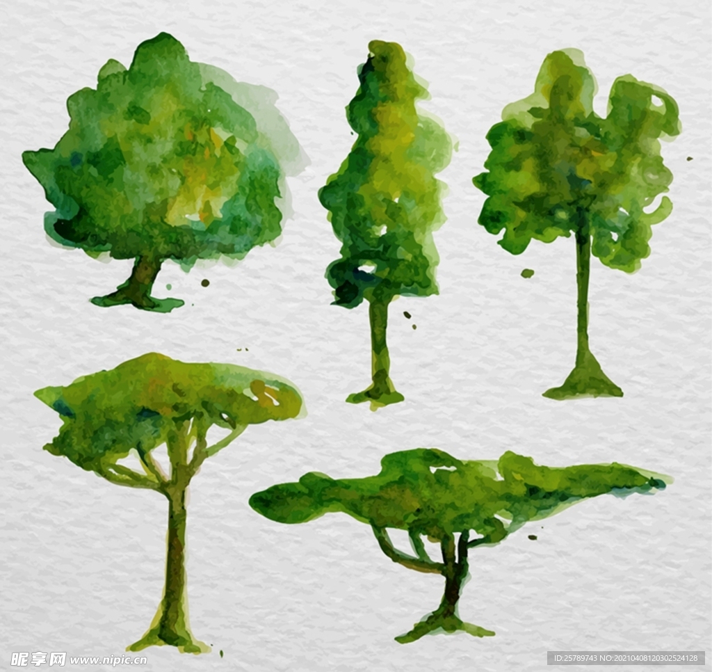 水彩绘树木