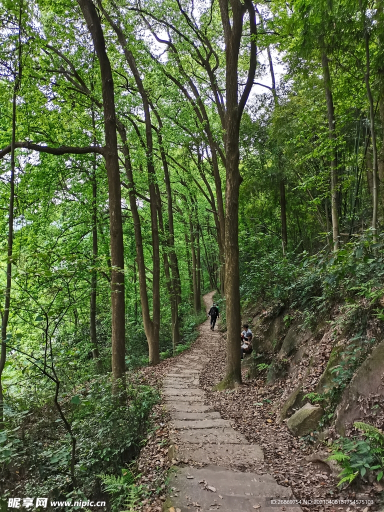 張飛古道