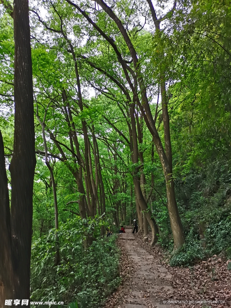 張飛古道