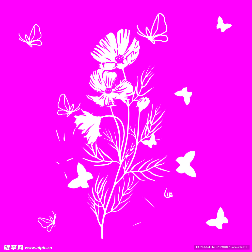 格桑花