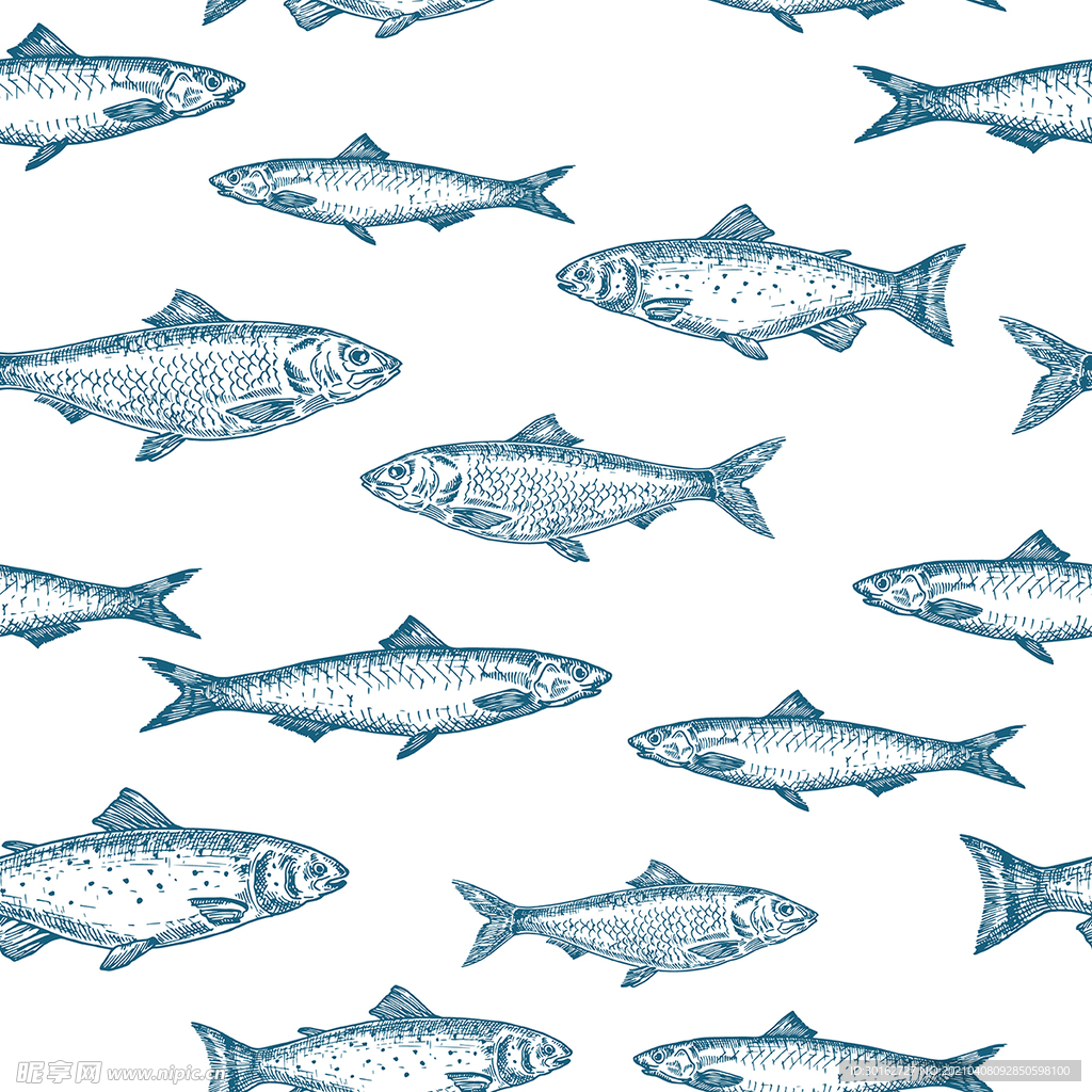 水产鱼类手绘背景底纹