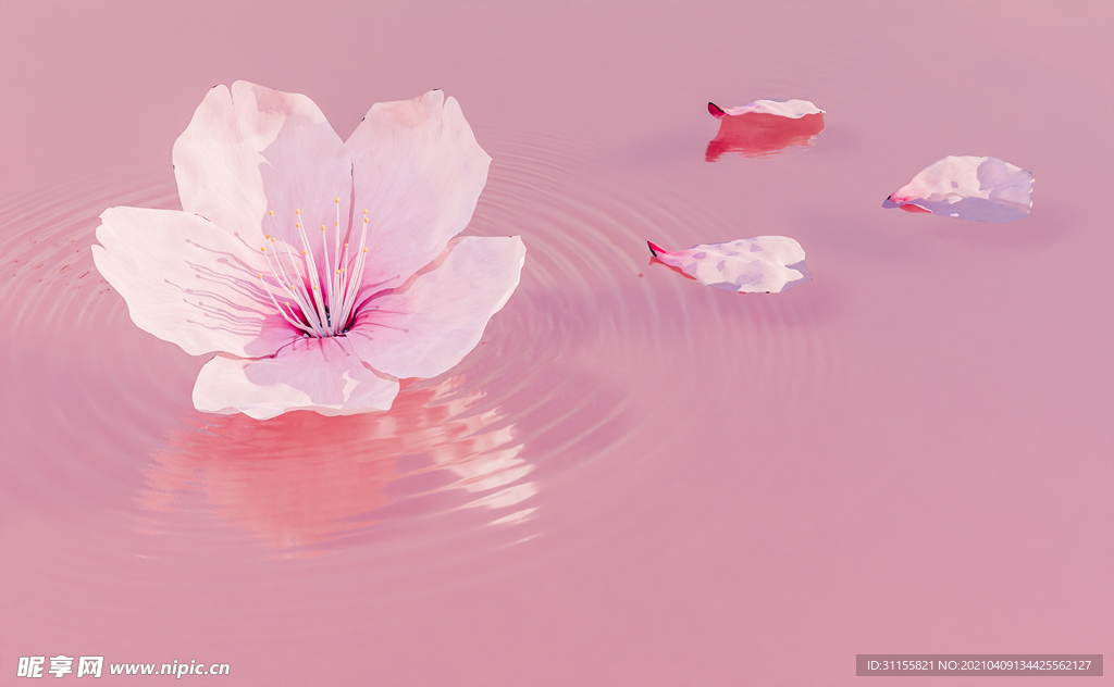 櫻花