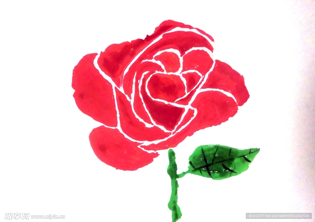 玫瑰花色彩绘画