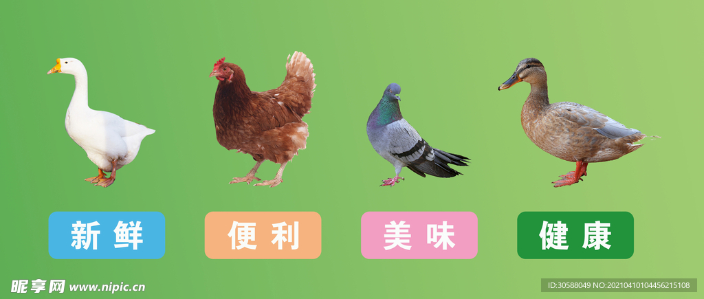門頭
