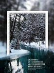 视觉海报设计   雪景  小溪