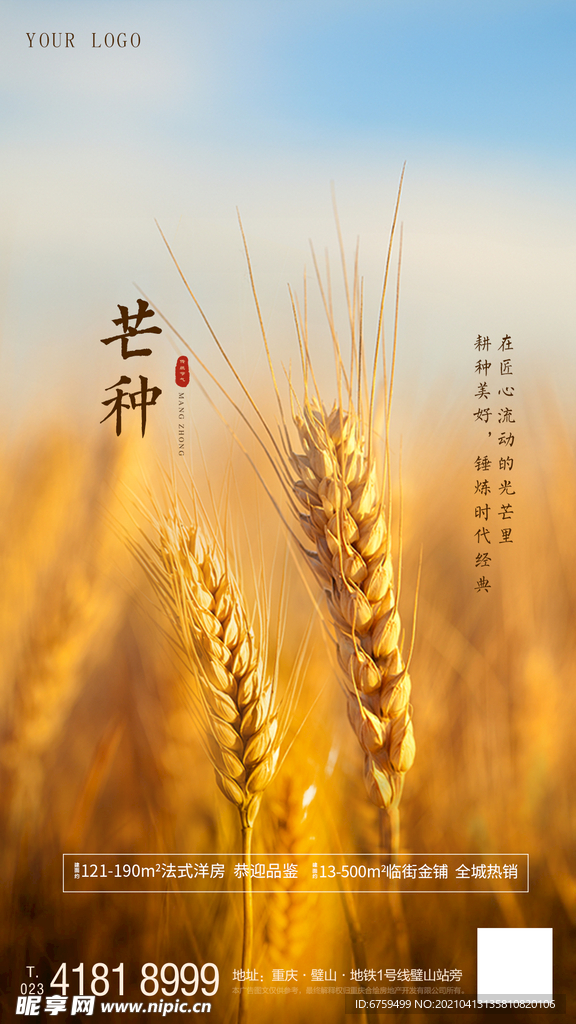 芒種微信稿