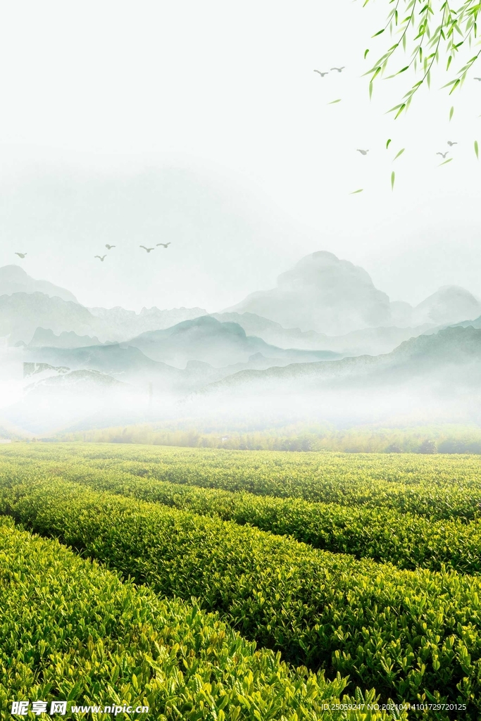 中國(guó)風(fēng)背景 茶葉