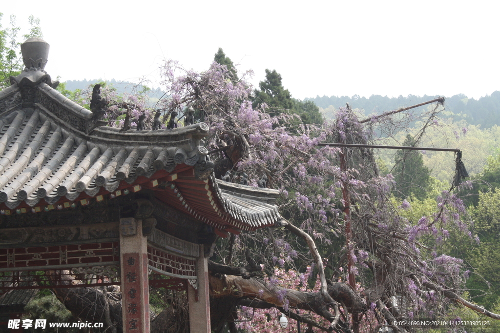 普照寺