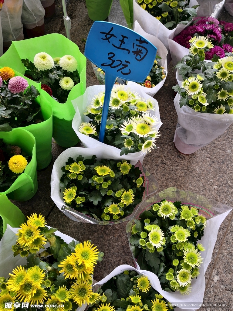 鮮花